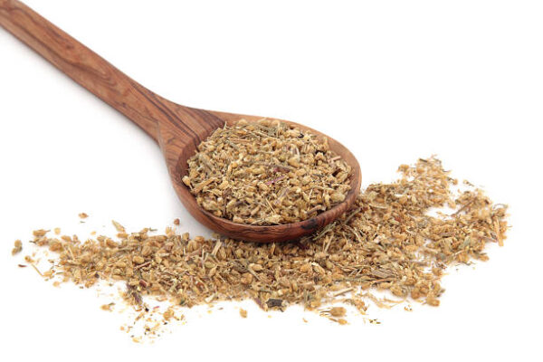 Yarrow herb in an olive wood spoon over white background.