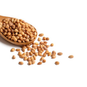 Mahlep, mahlab or mahaleb seeds isolated on white background