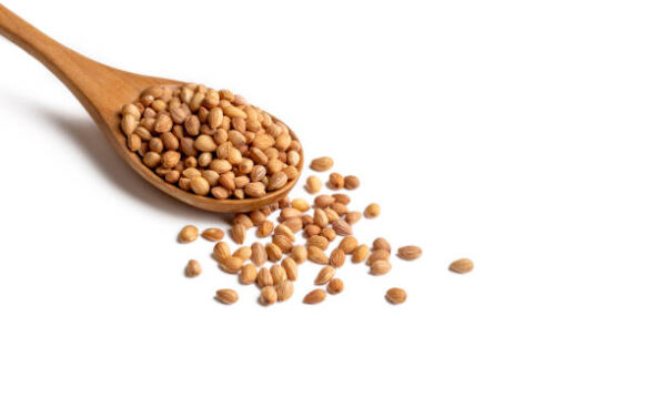 Mahlep, mahlab or mahaleb seeds isolated on white background