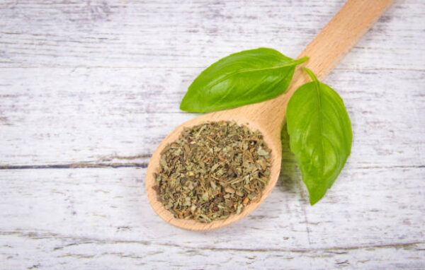 Fresh and dried basil, herbs and spices. healthy eating concept.